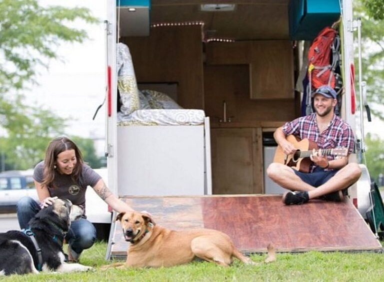 Tiny House Pets Tips for Sharing Your Small Space with a Dog