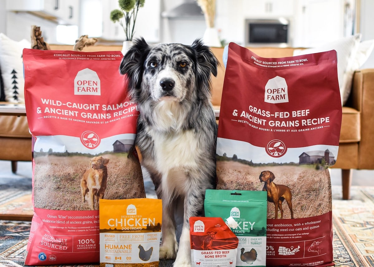 Open Farm Dog Food Review Super Sustainable Canine Eats!