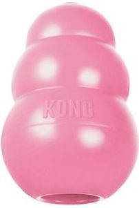 What Is Kongs Breed