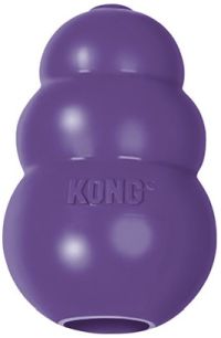 What Is Kongs Breed