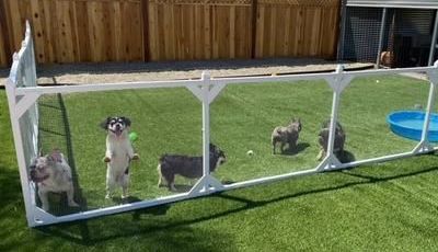 SnapFence Dog Run 1