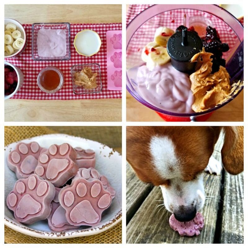 Peanut butter and berry pupsicles
