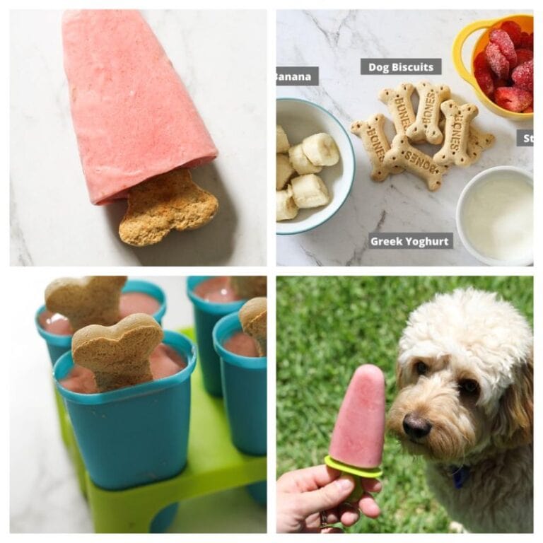 13 DIY Dog Popsicle Recipes for the Summer! - Dog Banana Popsicle Recipes