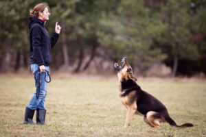 17 Aggressive Dog Training Tips & Hacks!
