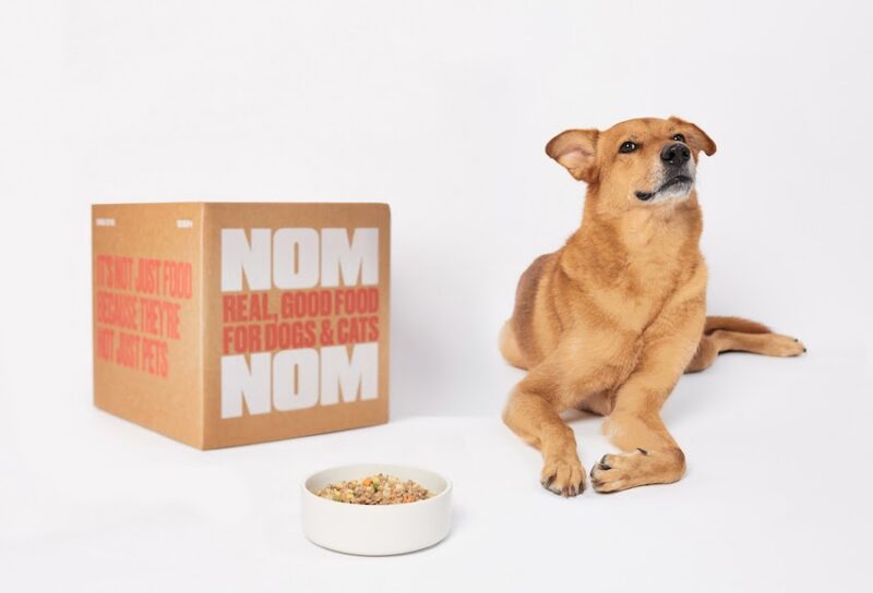 Dog-eating-nomnom