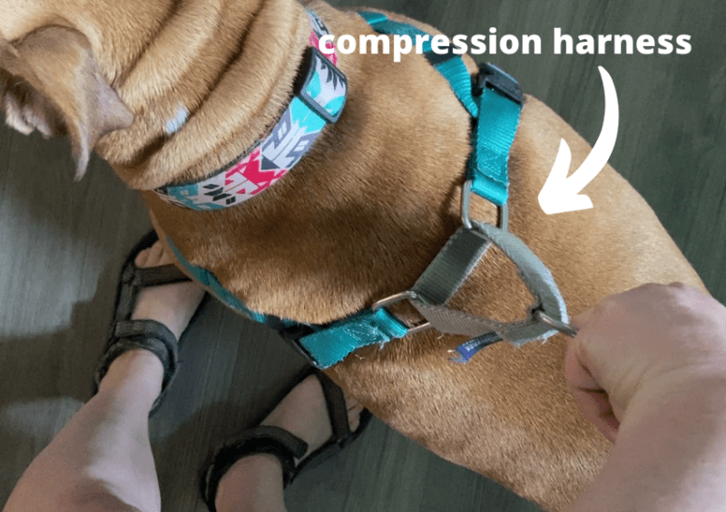 compression harness