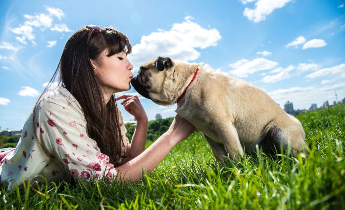 Is Your Dog s Mouth Cleaner Than Yours Eh Not Really is-your-dog-s-mouth-cleaner-than-yours-eh-not-really