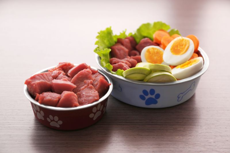 dog food ingredients