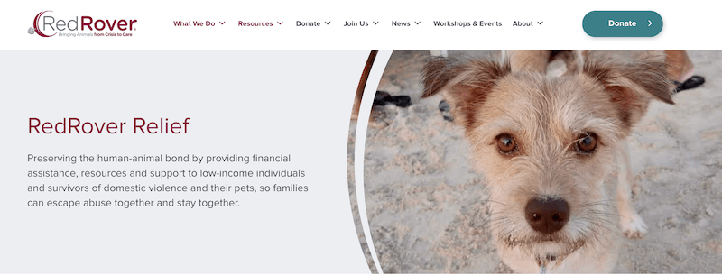 24 Organizations That Help Pay Vet Bills: Finding Help When You Need It Most! 3 RedRover Relief