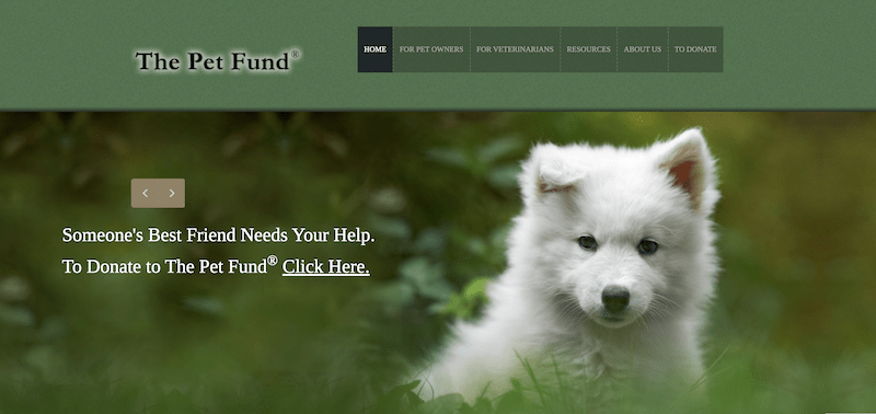 24 Organizations That Help Pay Vet Bills: Finding Help When You Need It Most! 7 The Pet Fund