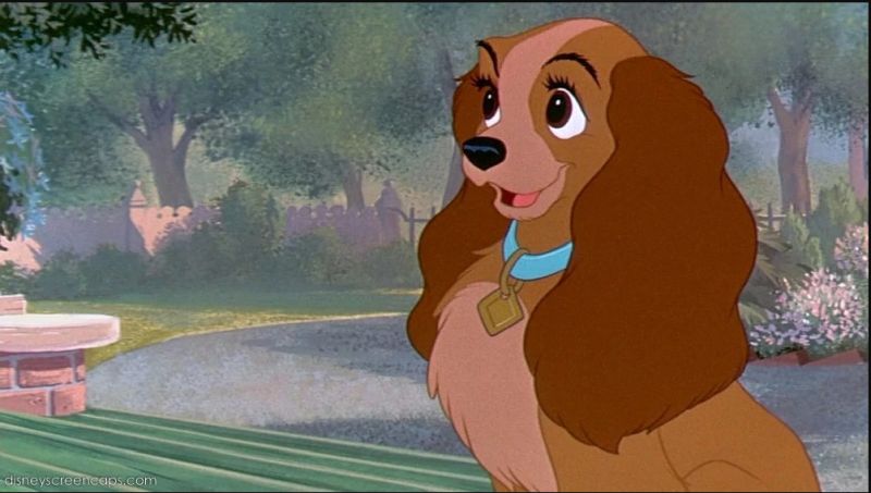 Lady and the Tramp Dog Names