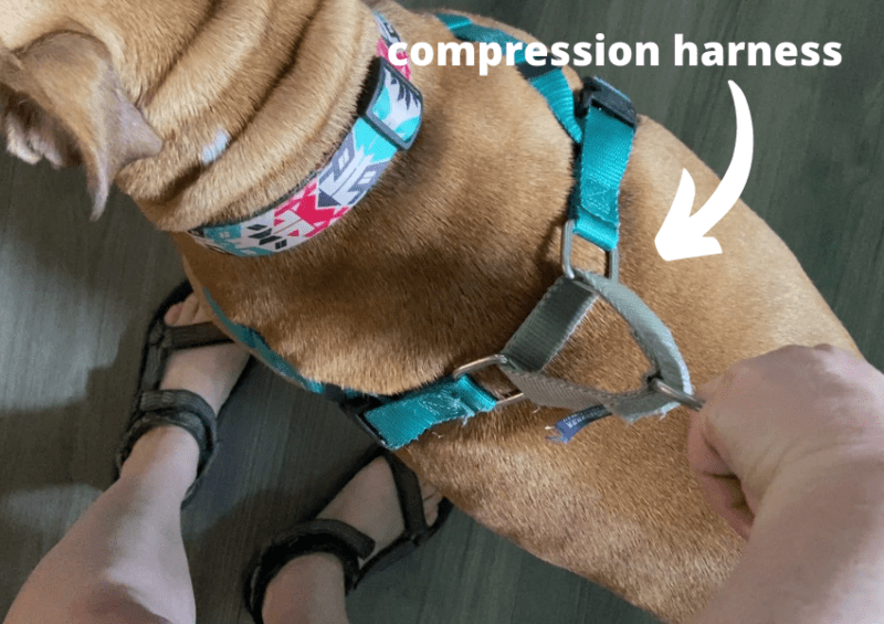 compression dog harness