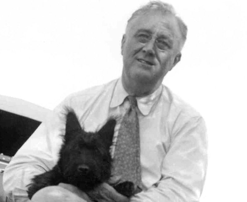 FDR and His Dog