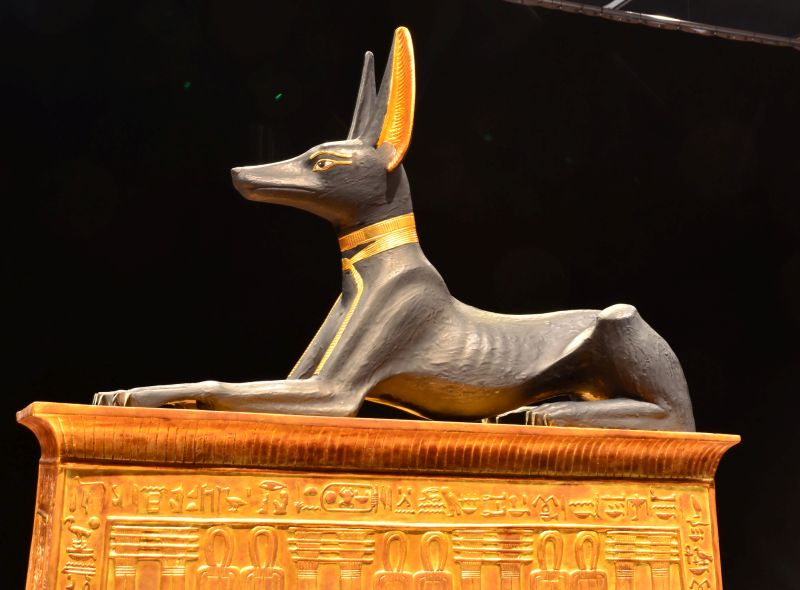 Egyptian mythology dog names