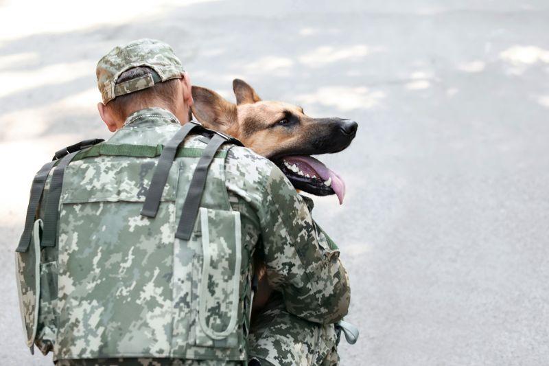 military dog names