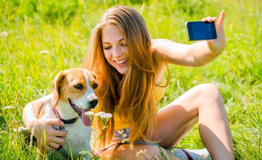 100+ Dog Instagram Captions for Getting Followers!
