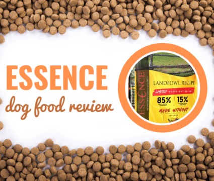 essence-review