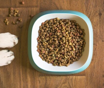 single protein dog foods