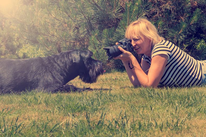 Tipps zum Fotografieren von Hunden