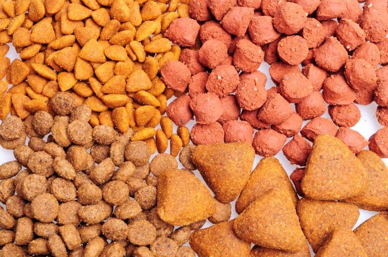 how to pick dry dog food