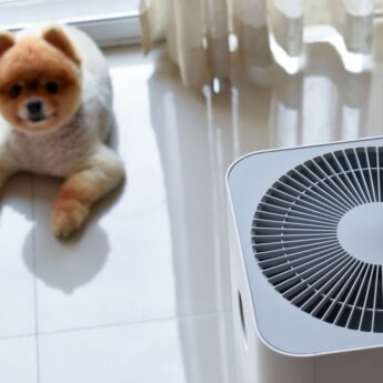 white noise machines for dogs