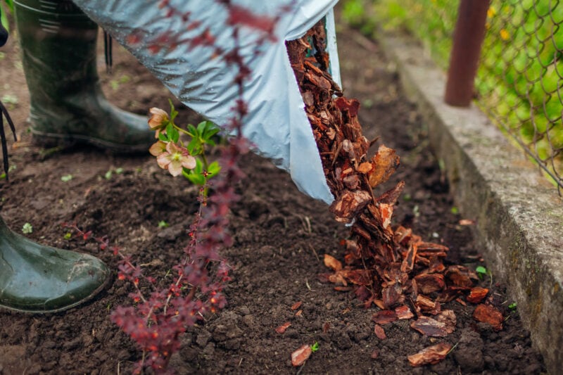 garden mulch that is safe for dogs