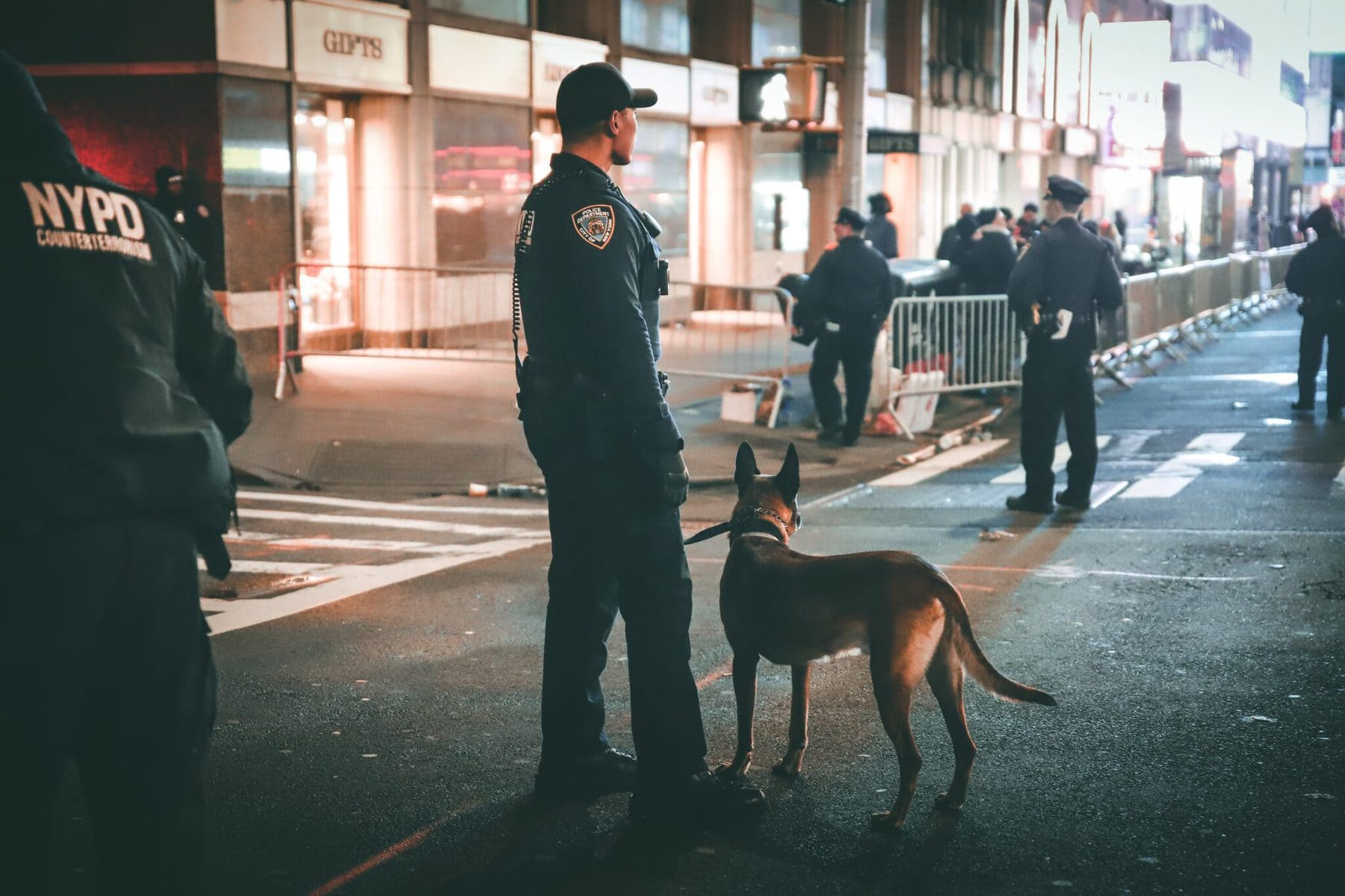 600-police-dog-names-for-crime-fighting-canines