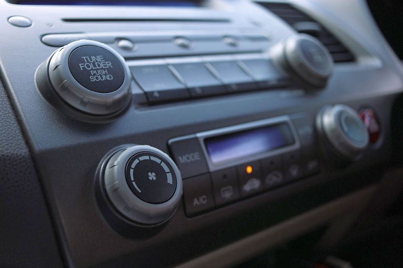 use radio in car with dog