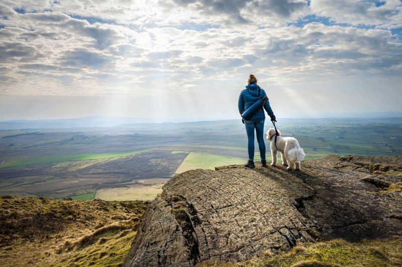 Topónimos irlandeses para perros