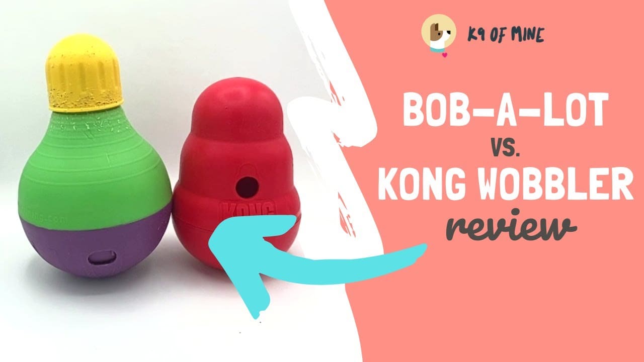 Kong Wobbler Hands-On Dog Toy Review [2024]