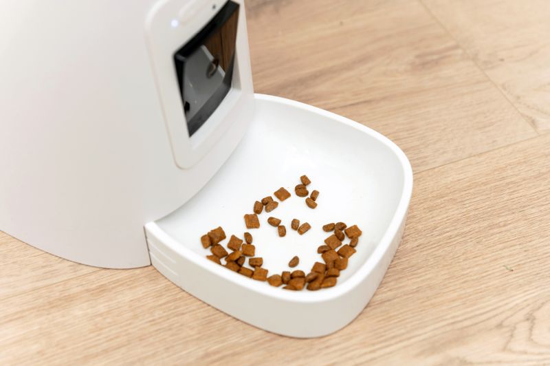 benefits of an automatic dog feeder