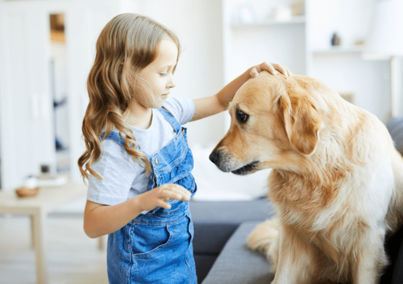 teaching kids about dog consent