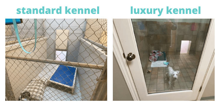 luxury kennel vs standard