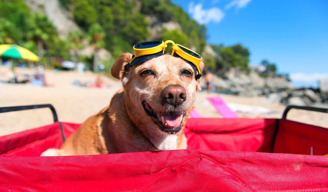 Going On Vacation? Consider Vacation Rentals Instead Of Every Hotel!
