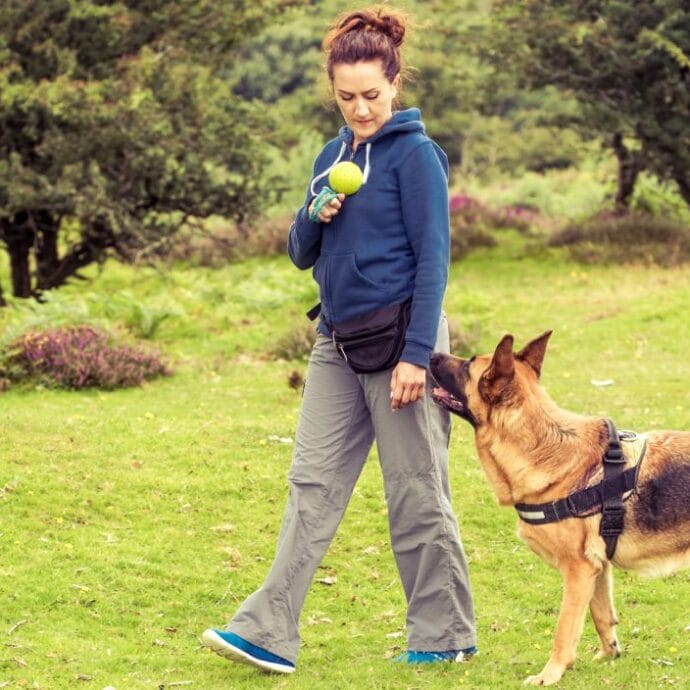 How to Train Multiple Dogs at Once 2x the Training!