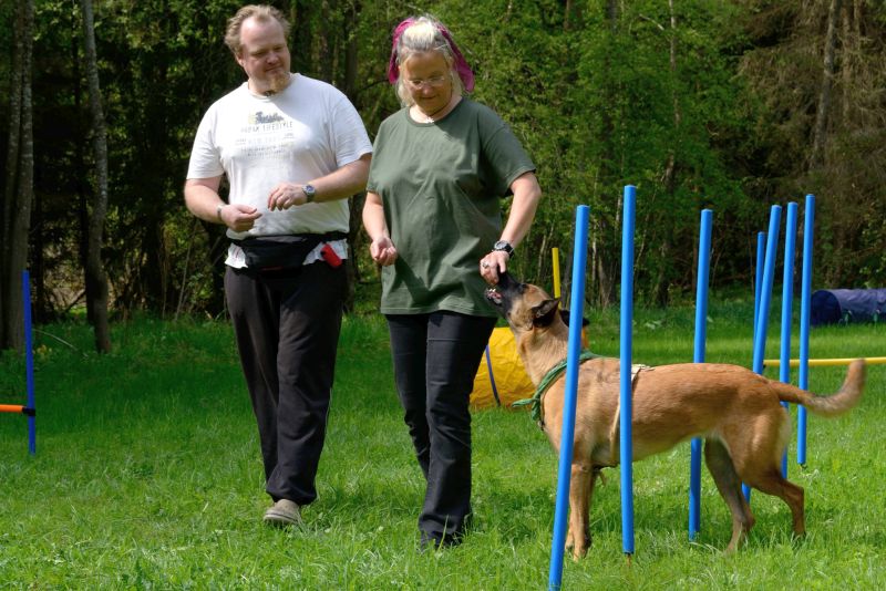 selecting dog trainer