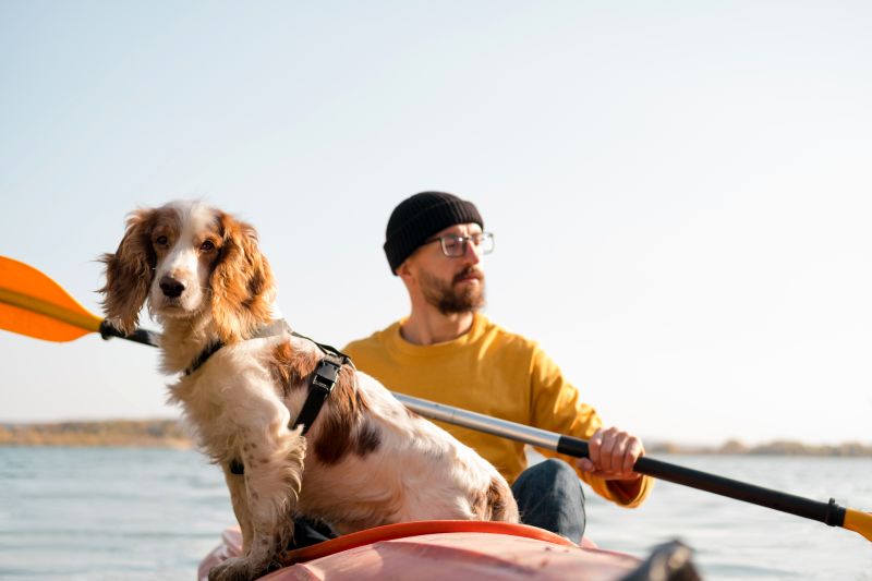 introduce dog to kayak