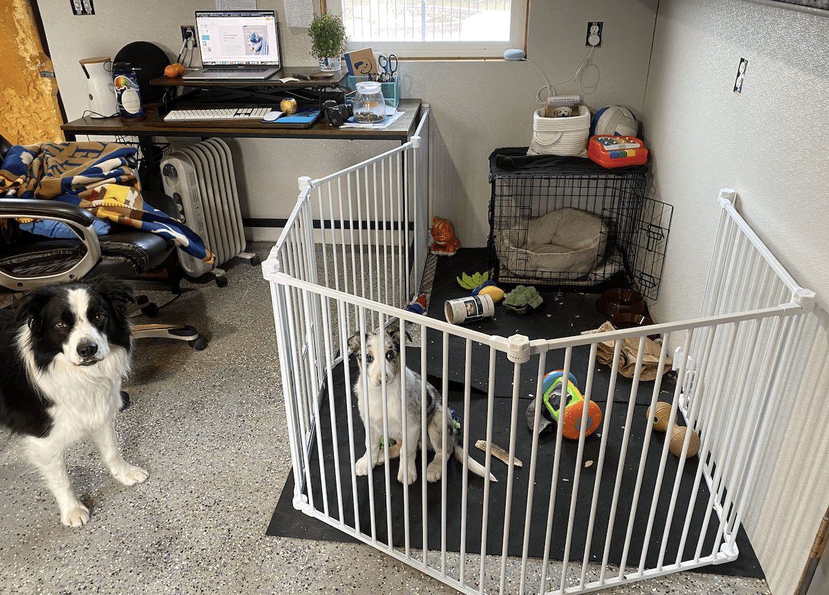 9 Best Dog Playpens & Exercise Pens [2025 ] For Indoor & Outdoor Use!