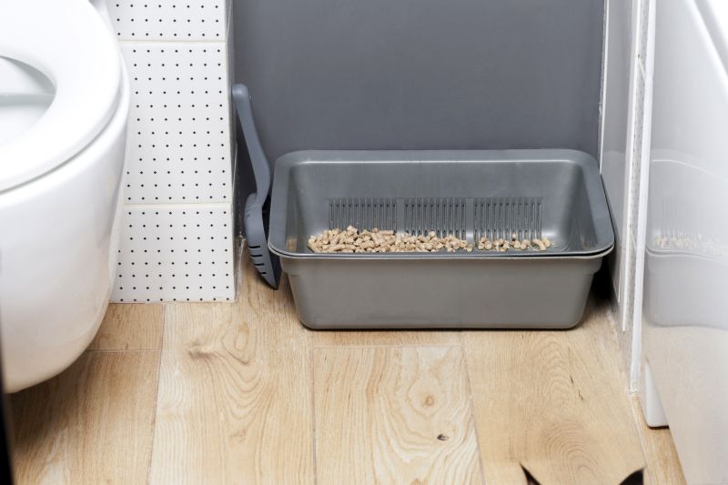 location for dog litter box
