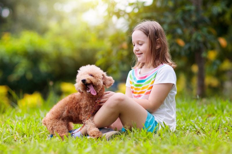 good breeds for specific kids