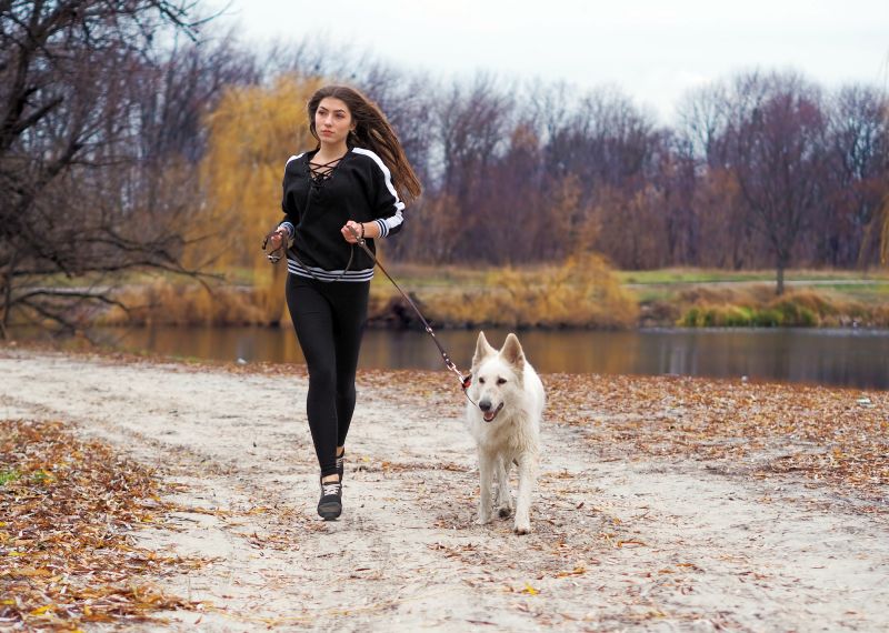 running with your dog