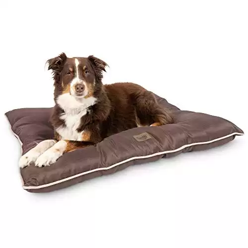 Pet Craft Supply Snoozer Indoor / Outdoor Dog Bed