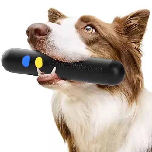 14 Indestructible Dog Toys for Heavy Chewers