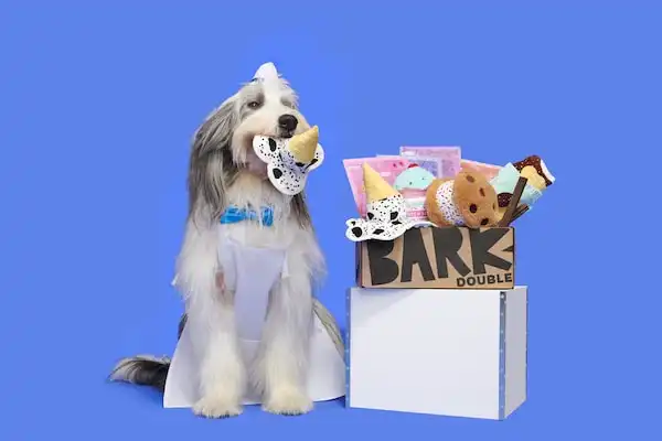 Barkbox Dog Subscription Kit