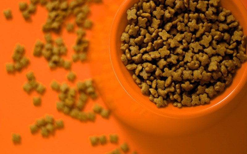 Bowl of Pet food