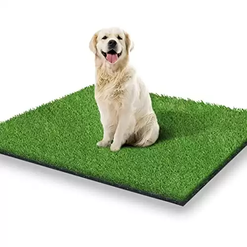STARROAD Artificial Grass for Dogs
