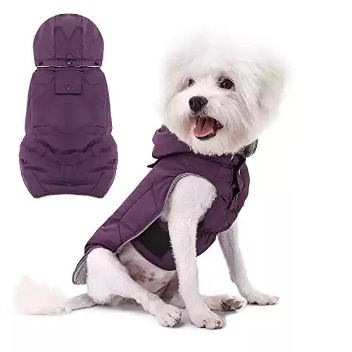 VOOPET Warm Dog Jacket