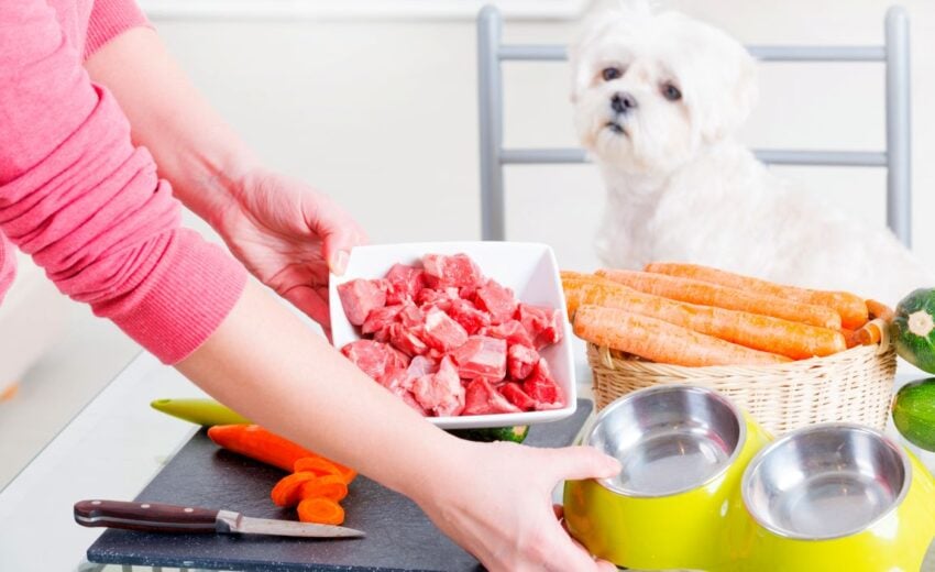 supplements for homemade dog food