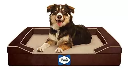 Sealy Lux Pet Dog Bed