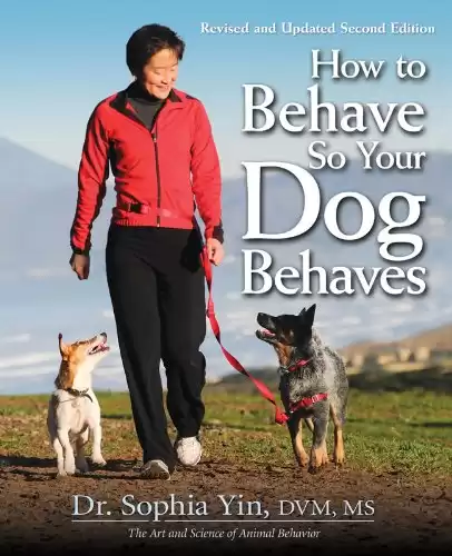 How to Behave So Your Dog Behaves